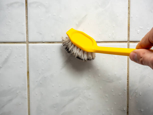 Best Mold Remediation for Schools in Berkeley, IL